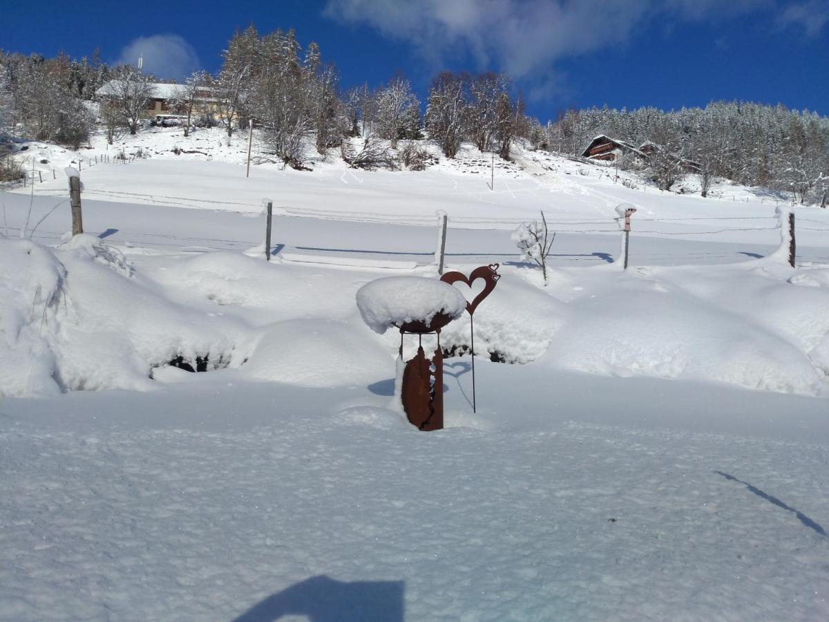 Ferienhaus Gstoderblick Διαμέρισμα Seebach  Εξωτερικό φωτογραφία