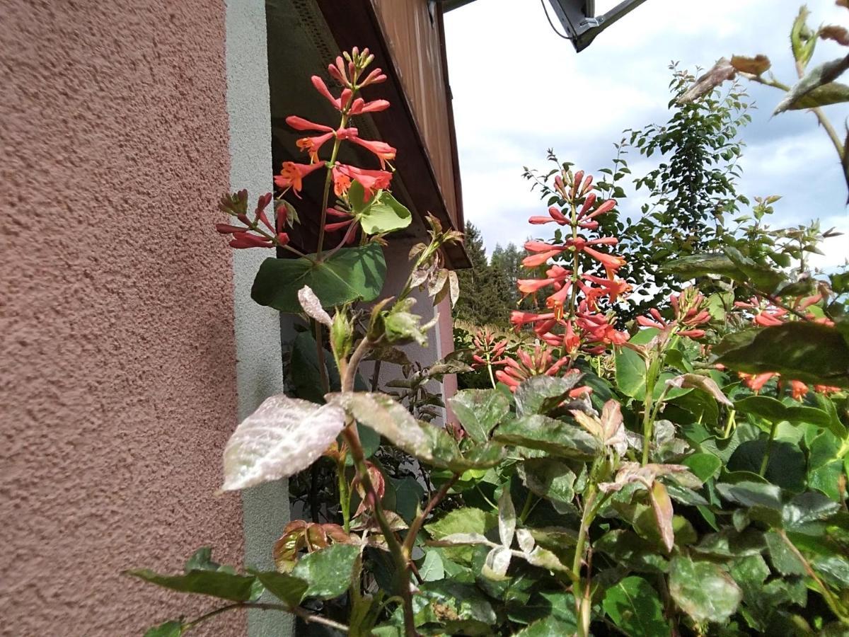 Ferienhaus Gstoderblick Seebach  Εξωτερικό φωτογραφία