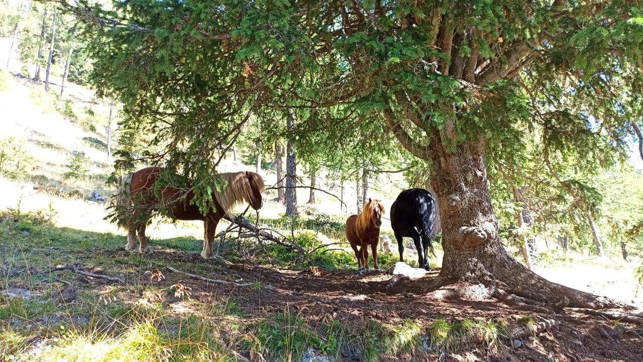 Ferienhaus Gstoderblick Seebach  Εξωτερικό φωτογραφία